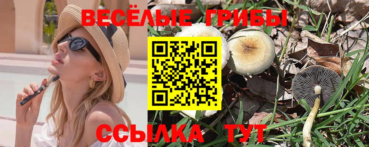 Галлюциногенные грибы Psilocybe Нижний Новгород