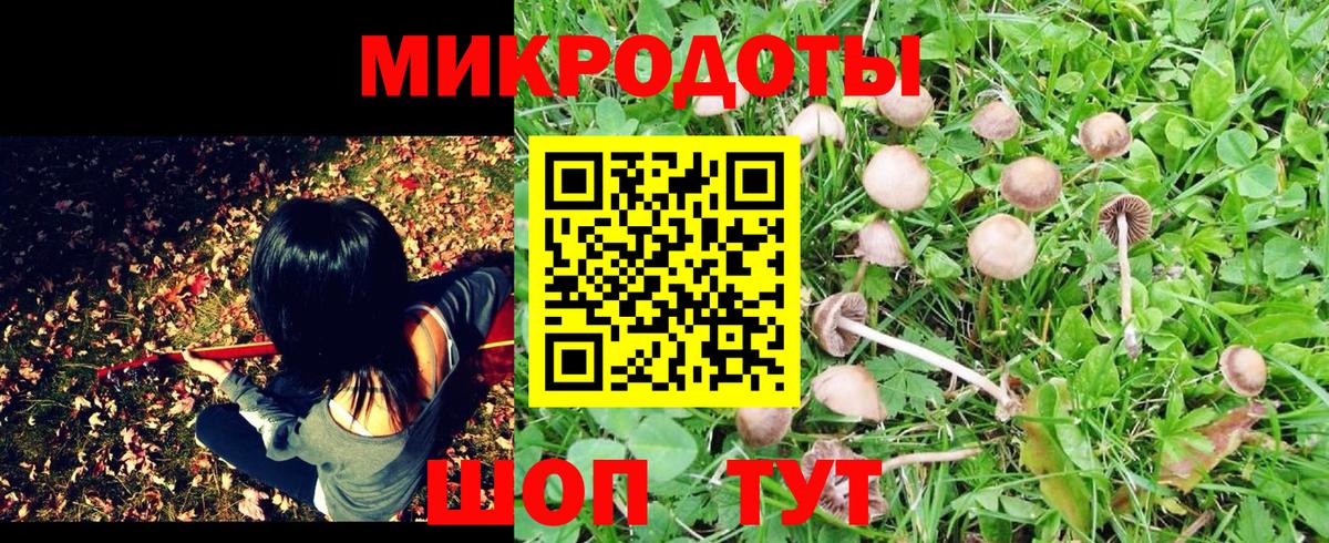 цена наркотик  Псилоцибиновые грибы MAGIC MUSHROOMS  Вход с VPN  Нижний Новгород  Галлюциногенные грибы прущие грибы 